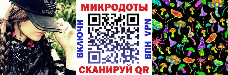 МЕГА ТОР  Почеп  Псилоцибиновые грибы мицелий 